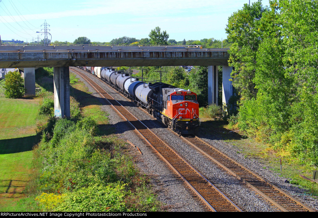 CN 3050